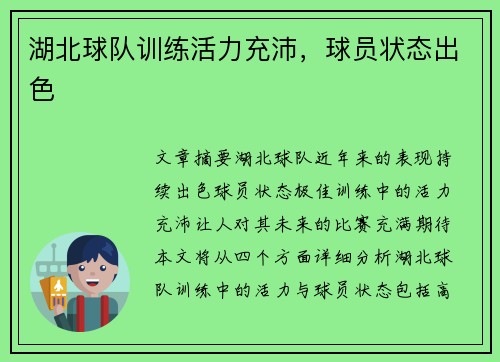湖北球队训练活力充沛，球员状态出色